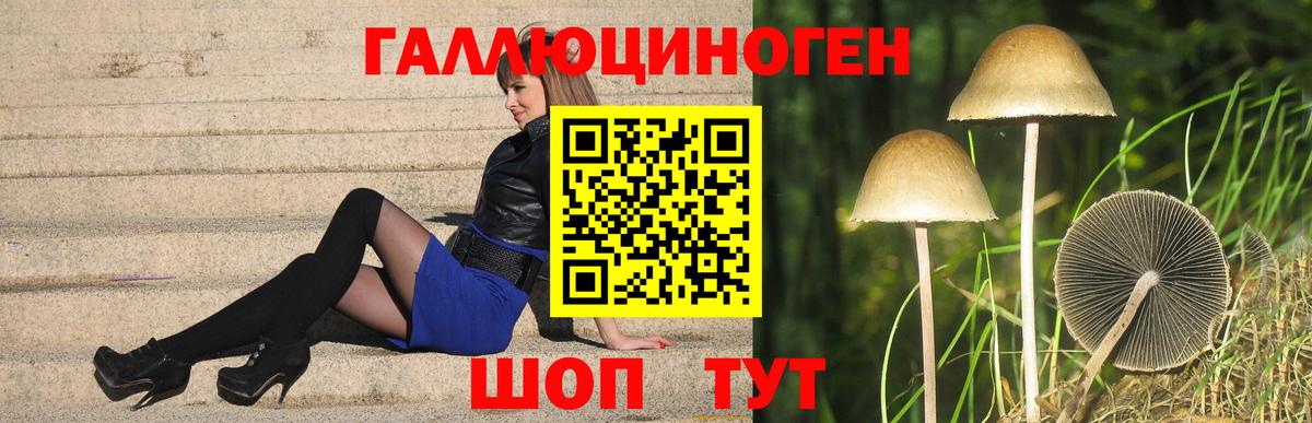 Реутов  Галлюциногенные грибы ЛСД  купить наркотики сайты  Галлюциногенные грибы ЛСД  Вход с VPN 